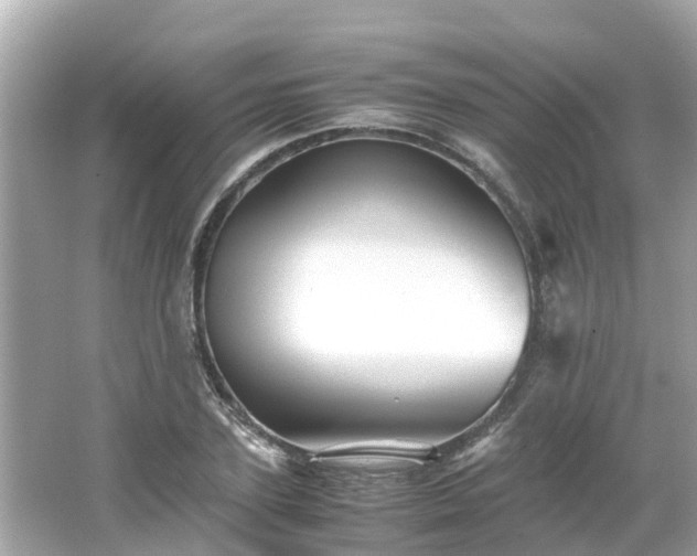 X0000066000931200603101527