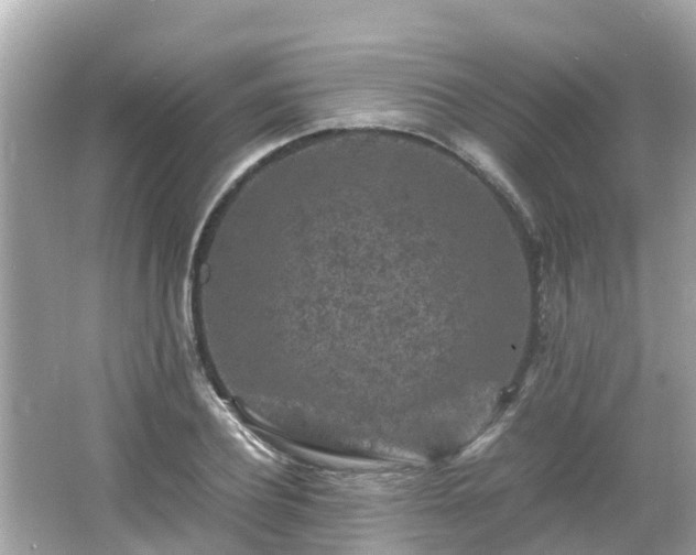 X0000066000932200603101527