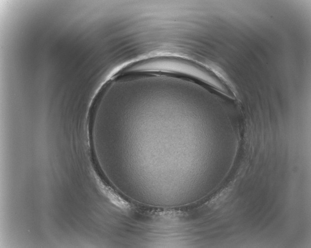 X0000066000934200603101527