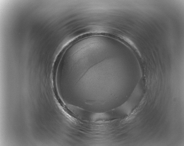 X0000066000935200603101527