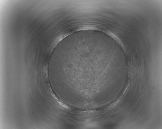 X0000066000937200603101527