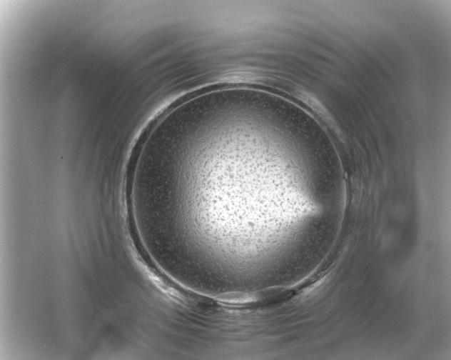 X0000066000939200603101527