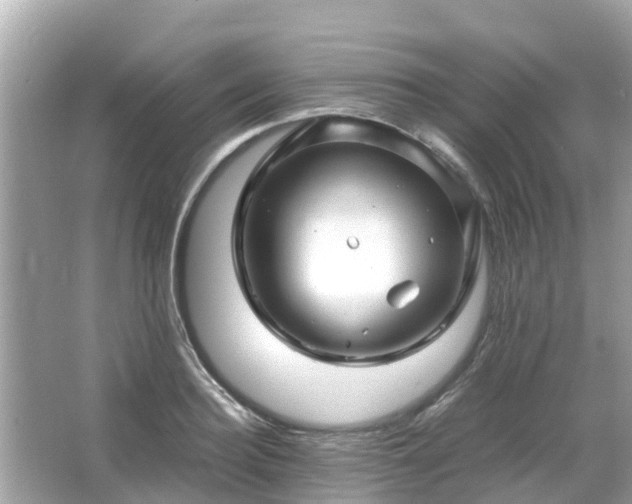 X0000066000940200603101527