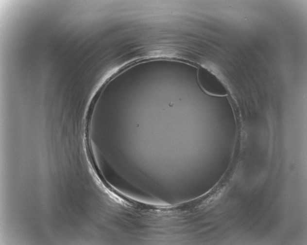 X0000066000941200603101527