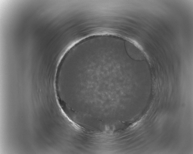 X0000066000943200603101527