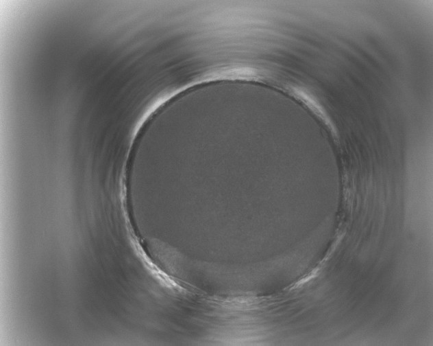 X0000066000944200603101527