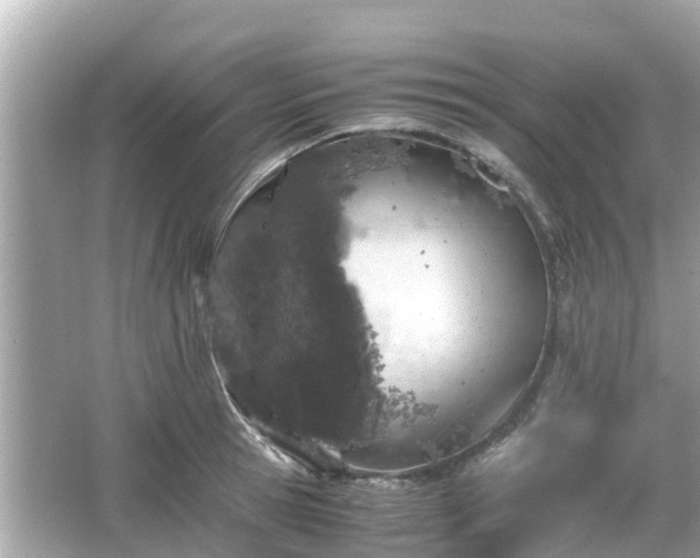 X0000066000945200603101527