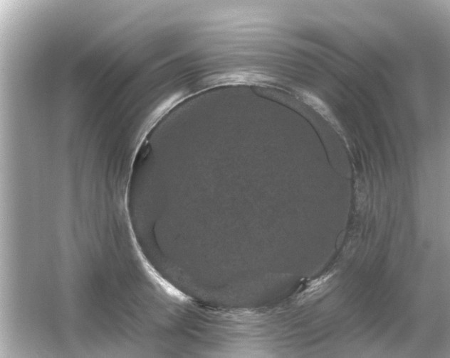 X0000066000946200603101527