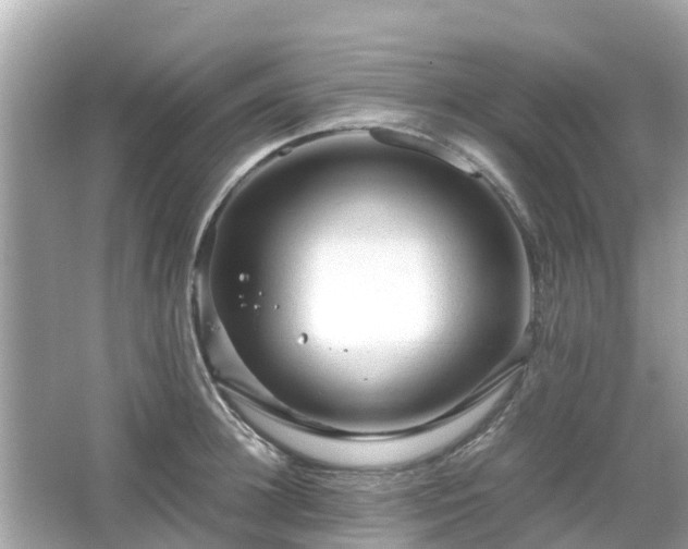 X0000066000948200603101527