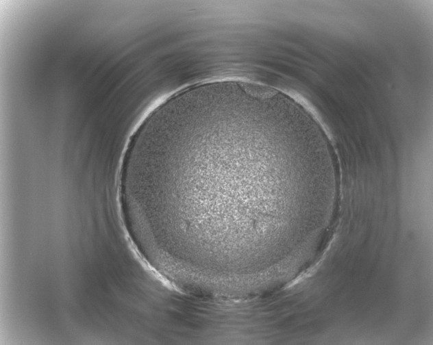 X0000066000949200603101527