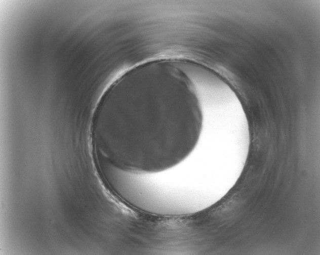 X0000066000950200603101527