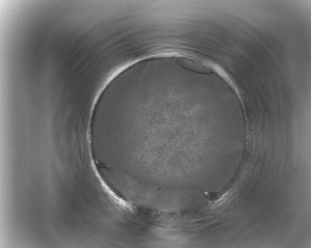 X0000066000951200603101527