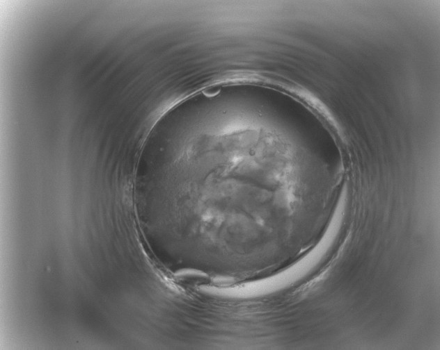 X0000066000953200603101527