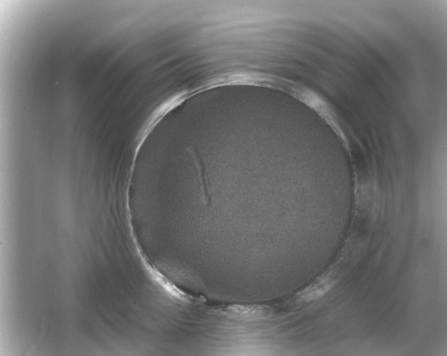 X0000066000954200603101527