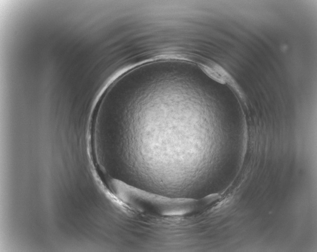 X0000066000955200603101527