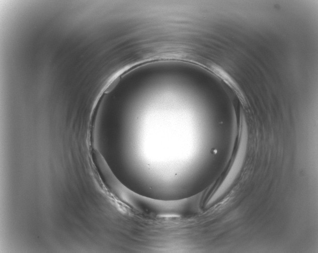 X0000066000956200603101527