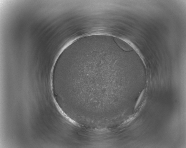 X0000066000957200603101527