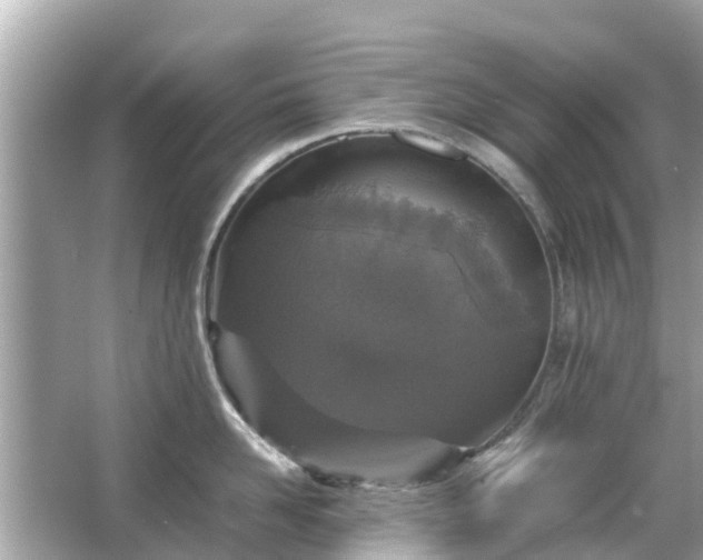 X0000066000958200603101527