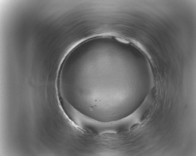 X0000066000959200603101527