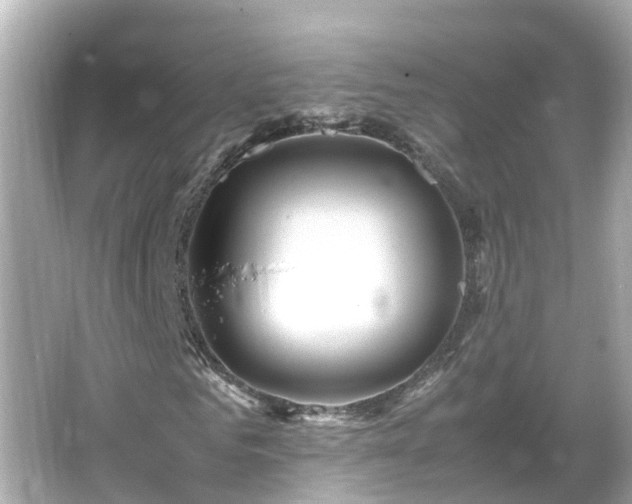 X0000066000961200603101526