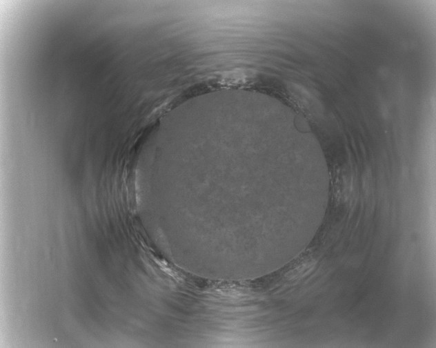 X0000066000962200603101526