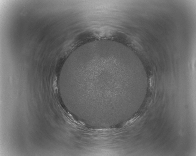 X0000066000963200603101526