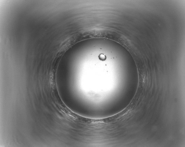 X0000066000964200603101526