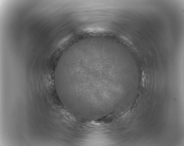 X0000066000966200603101526