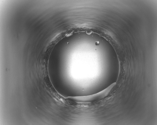 X0000066000968200603101526