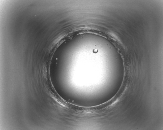 X0000066000969200603101526