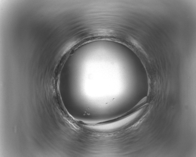 X0000066000970200603101526