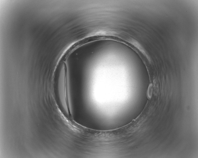 X0000066000972200603101526