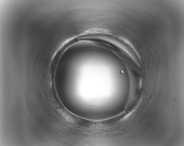 X0000066000973200603101526