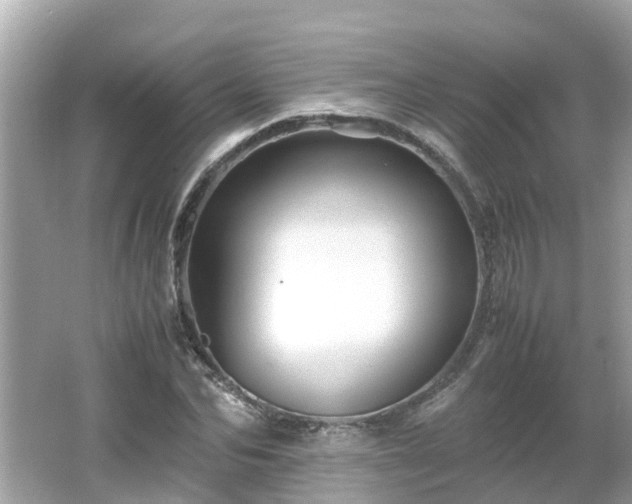 X0000066000974200603101526