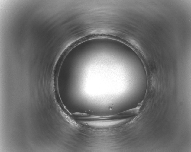 X0000066000976200603101526