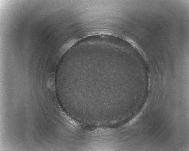 X0000066000977200603101526