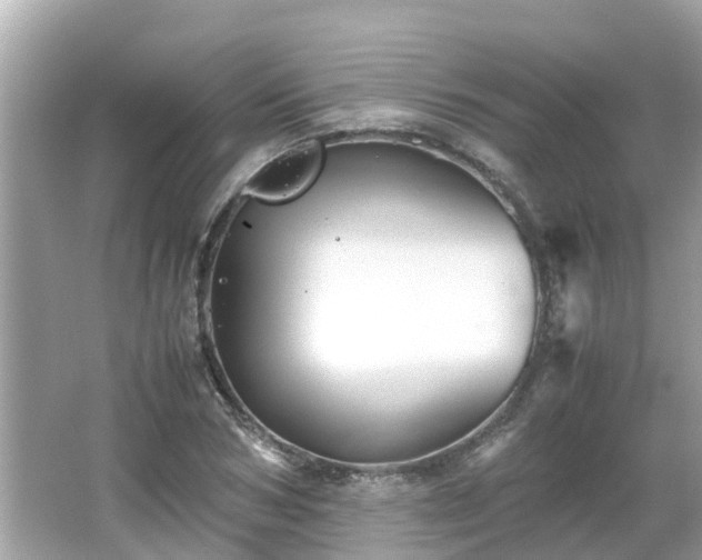 X0000066000978200603101526