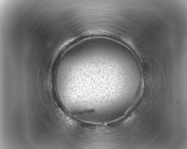 X0000066000979200603101526