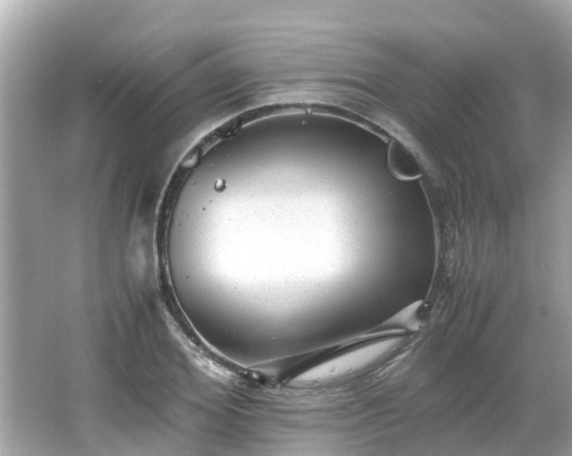 X0000066000980200603101526