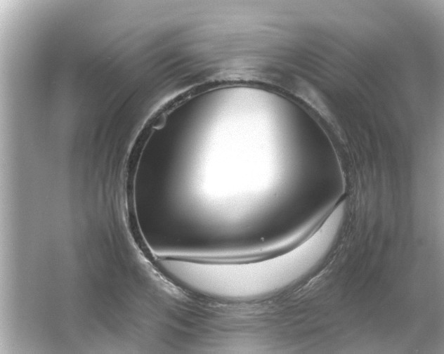 X0000066000984200603101526