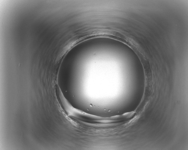 X0000066000985200603101526