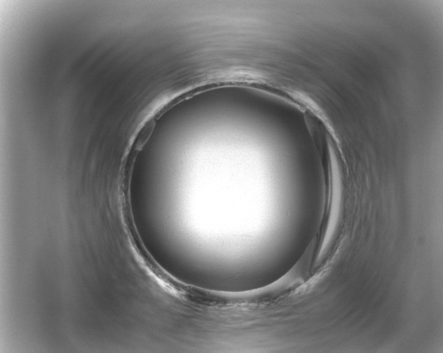 X0000066000989200603101526