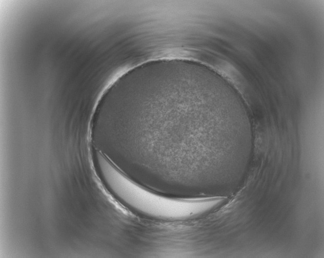 X0000066000990200603101526