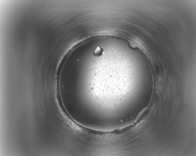 X0000066000992200603101526