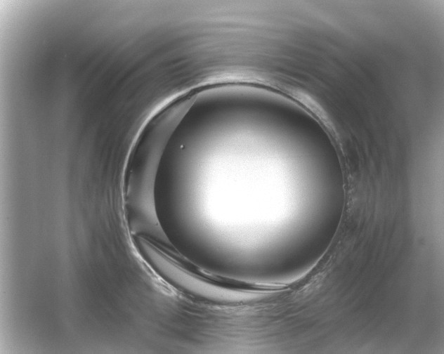 X0000066000996200603101526