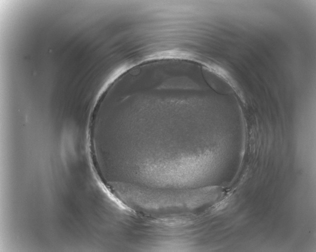 X0000066000998200603101526