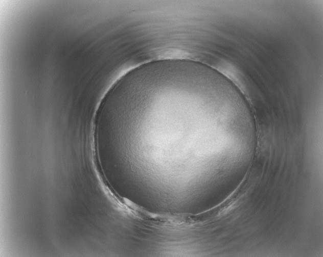 X0000066001000200603101526