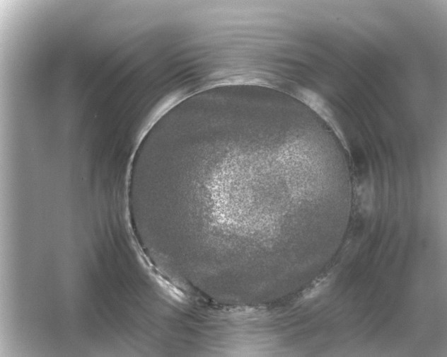 X0000066001002200603101526