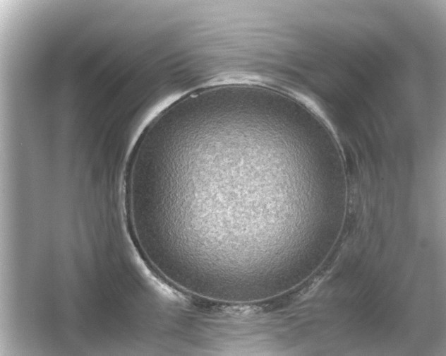 X0000066001003200603101526