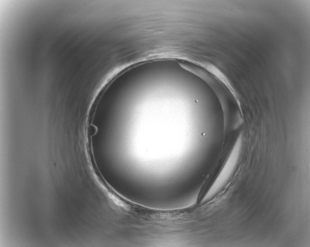 X0000066001005200603101526